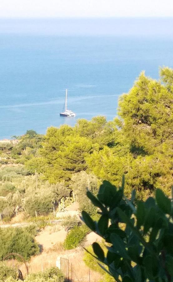 B&B Terrazze Chiaramontane Marina di Palma Dış mekan fotoğraf